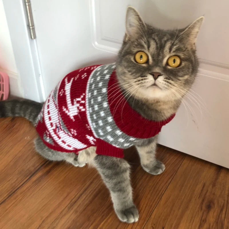 Cat Sweater Costume Winter Warm