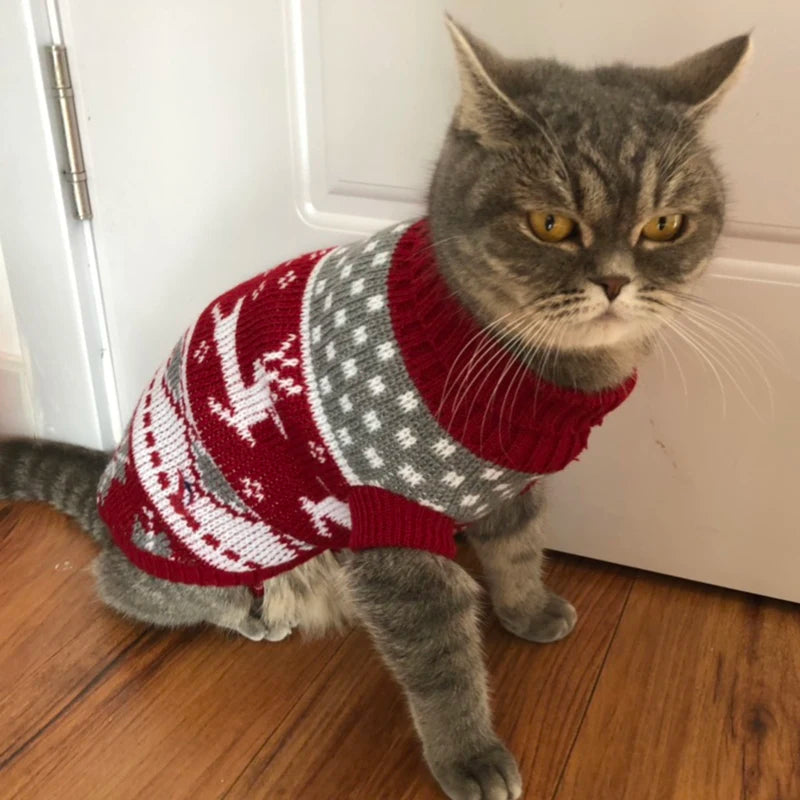 Cat Sweater Costume Winter Warm