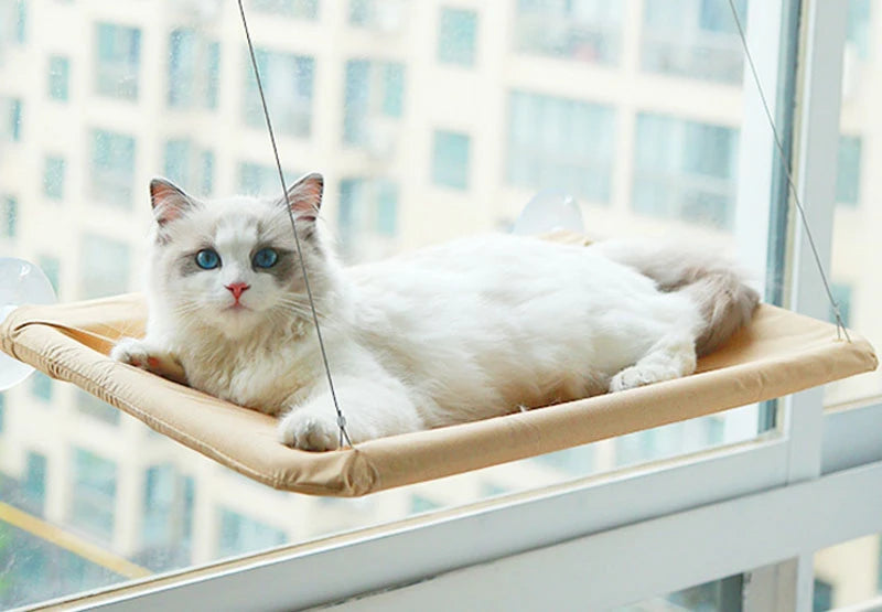 Pet Cat Hammock Hanging Cat Bed Bearing